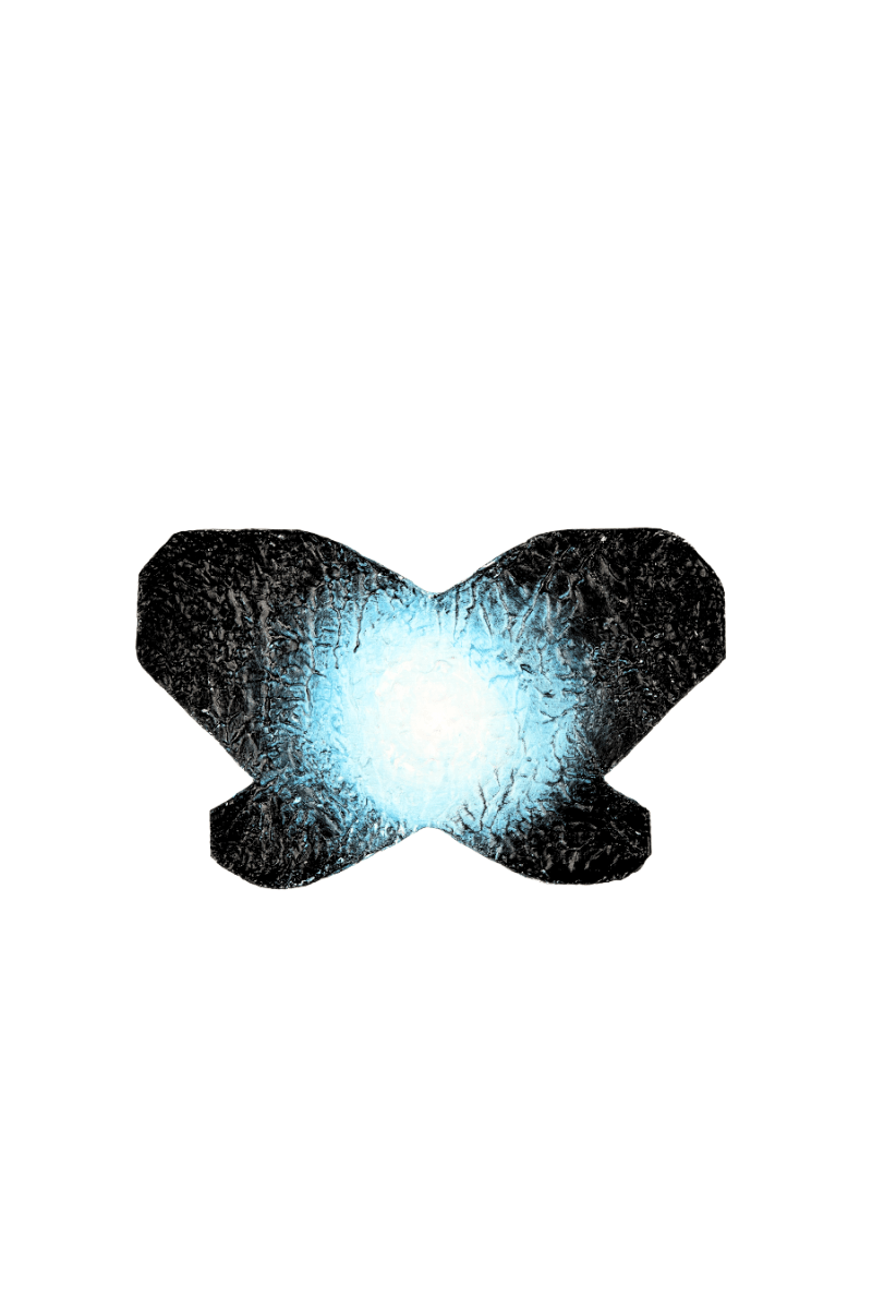 Aurelia#2 - Patch - papilioforpeople